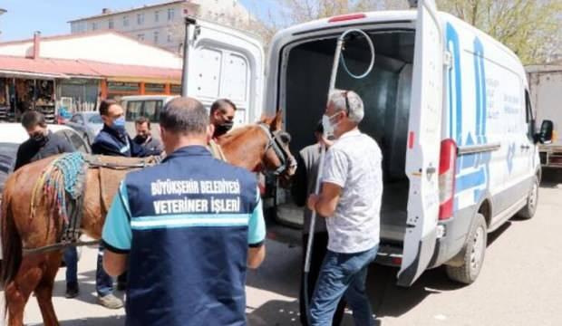 Erzurum'da trafikteki at araçlara çarptı!