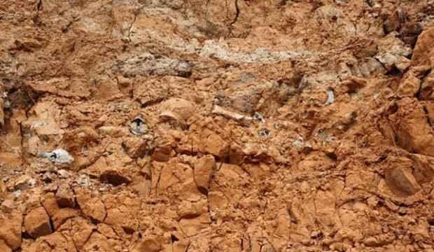 1 milyar yıllık fosil keşfedildi! En eskisi olabilir