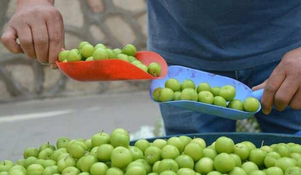 2 ay önce kilosu 800 liraydı şimdi 20 lira