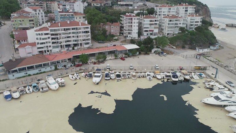 Bursa'da kıyıya su samurunun cansız bedeni vurdu