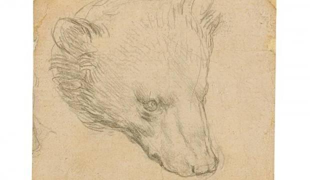 Da Vinci'nin "Ayı Kafası" çizimine rekor fiyat tahmini