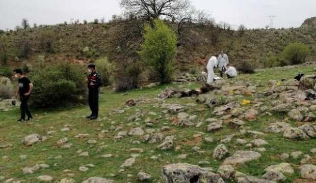 'Hayvan otlatma' kavgasında baba ve oğlunu öldürdü!