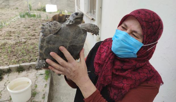 Kibrit kutusunda getirdi, şimdi evladı gibi seviyor