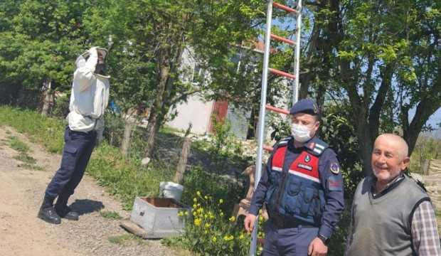 78 yaşında arıcılık yapan vatandaşa jandarma yardım etti!