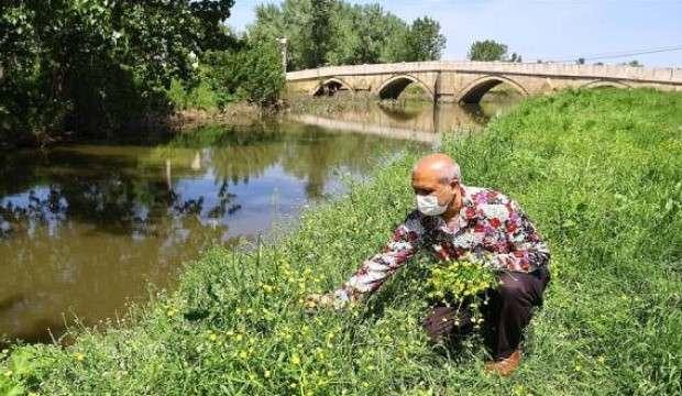 Romanların bahar bayramı bu yıl da sessiz