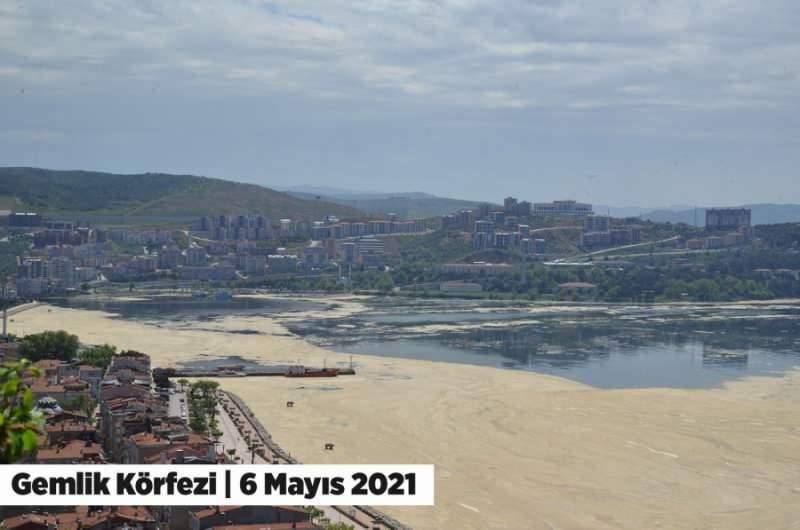 srzuc 1620481800 6605