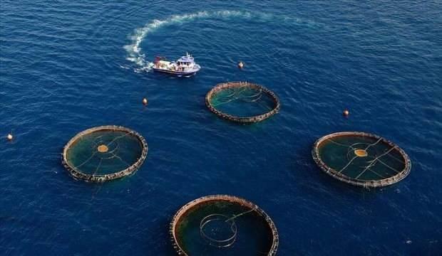 Türkiye'nin 4 aydaki su ürünleri ihracatı 400 milyon doları aştı