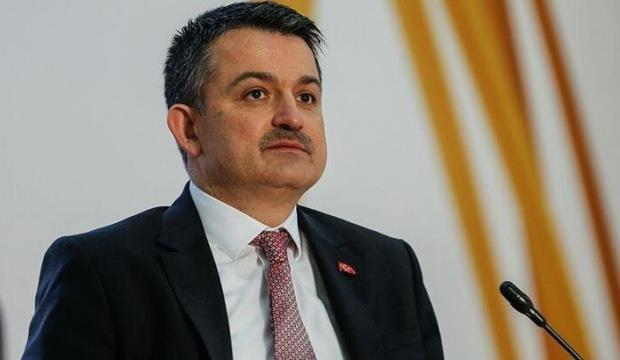 Yılda 5,5 milyon balon balığı için 5 milyon lira ödeme hedefleniyor