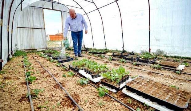 Hobi amaçlı bahçesine kurdu! Şimdi talebe yetişemiyor