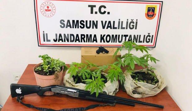 Jandarmadan ‘kenevir’ baskını