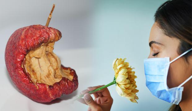 Koronavirus Atlatanlarda Ortaya Cikiyor Curumus Elma Ve Kuf Kokusu Saglik Haberleri