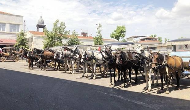 Şimdi de kayıp atlar Kuzey Irak’ta iddiası