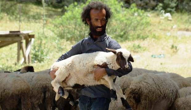 23 yıldır kendini koyunlara adadı   