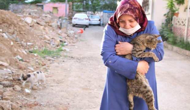 Çocukları vefat eden Fatma teyze, 35 kediye bakıyor
