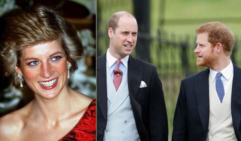 Prens Harry, Prens William, Prenses Diana