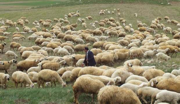 Devlet desteğiyle ata mesleğini 8 kat büyüttü