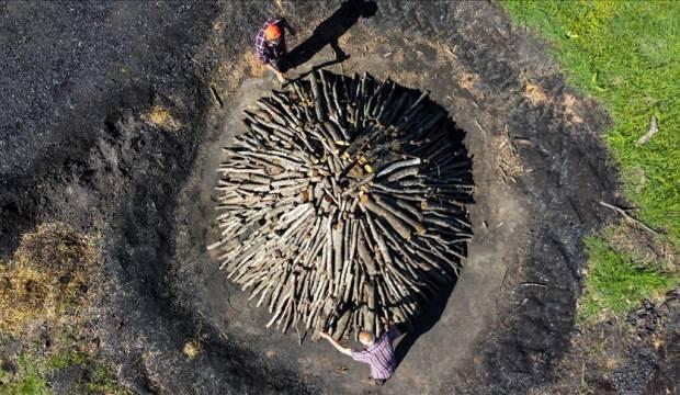 15 gün yakarak para kazanıyorlar: Evladımız gibi bakıyoruz