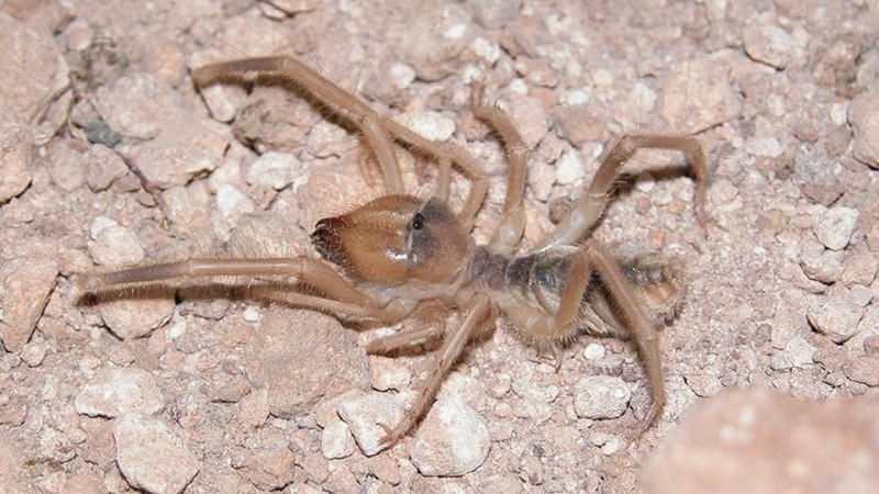 GSY12 1622618352 9293