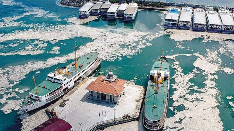 Marmara'daki deniz salyası doğal yaşamı tehdit ediyor.