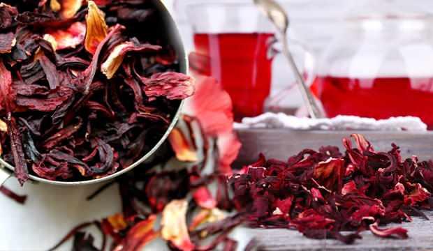 hibiskus cayi nasil demlenir hibiskus cayi faydalari nelerdir saglik haberleri