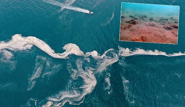 İtalyanlar, müsilajın (deniz salyası) Marmara'ya nereden geldiğini açıkladı