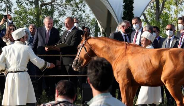Şuşa'da Erdoğan’a dünyaca ünlü Karabağ atı hediye edildi