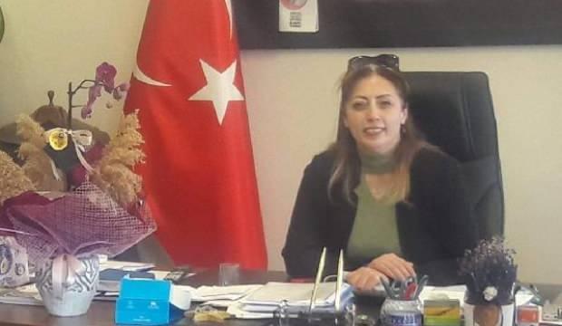 Beypazarı'ndan Rusya'ya 120 ton havuç ihracatı