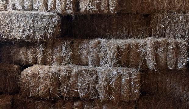 Kuraklık etkisi: Saman fiyatları ikiye katlandı