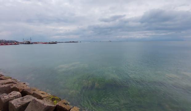 Tekirdağ’da deniz cam gibi, yağış müsilajı temizledi   