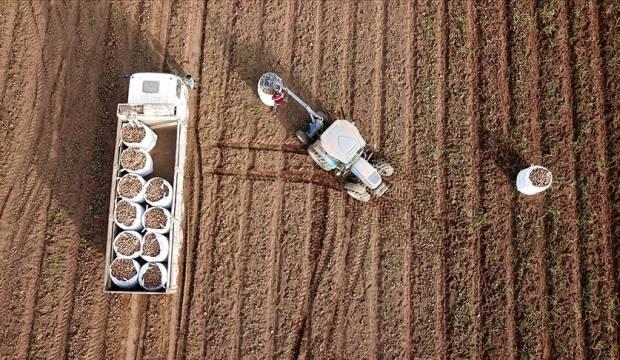 TMO'nun müdahalesiyle yem fiyatlarının düşmesi bekleniyor