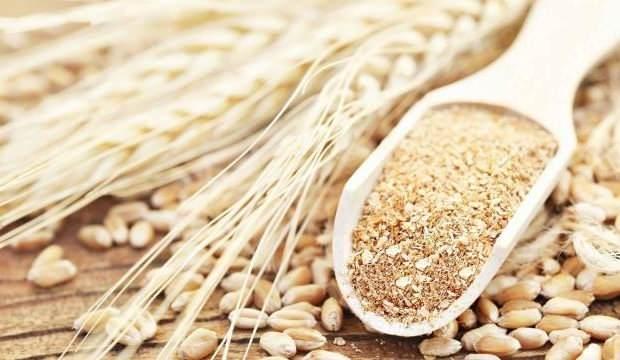 Türkiye'nin ilk tescilli siyez buğdayları üretilecek