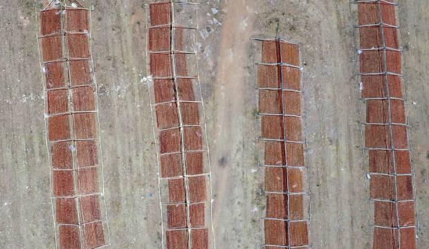 2 hafta bekletip sonra satıyorlar! Hasat başladı, talep yağıyor