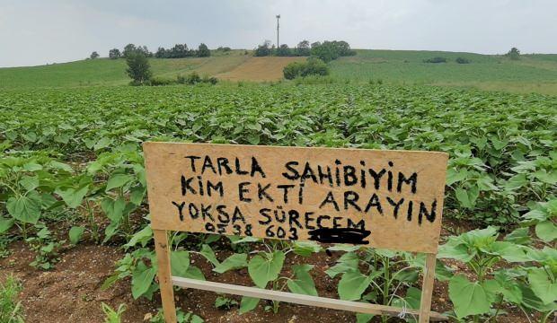 Bursa’da bir garip olay! Tarlasına izinsiz ekim yapanları arıyor