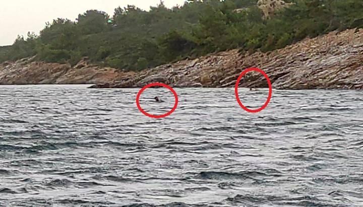 jGWin 1624717846 2503