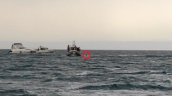 sbVGN 1624717830 6995