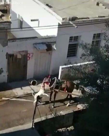 IwYZM 1625036081 874