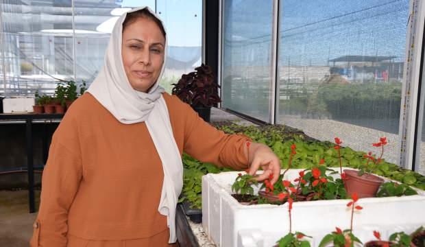 Güneydoğu’nun ilk çiçek serasını Diyarbakırlı ev hanımı kurdu
