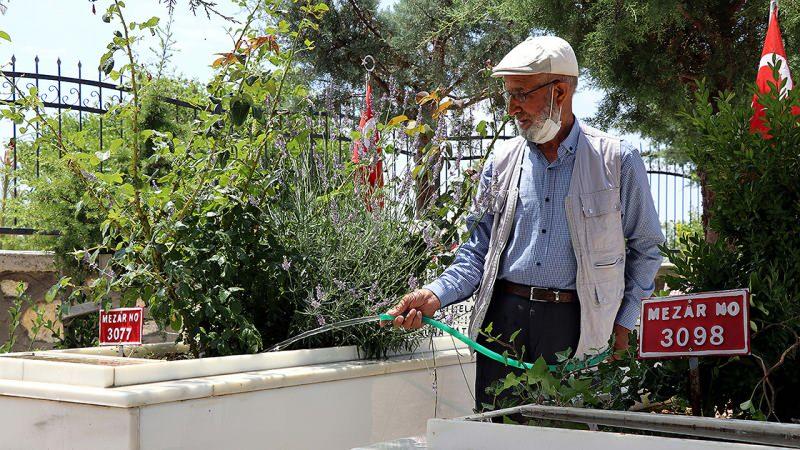 6Ow9s 1626121469 5258