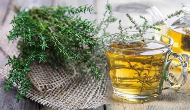 Kekik çayı faydaları nelerdir? Kekik çayı tansiyonu düşürür mü? Kekik çayı nasıl hazırlanır?