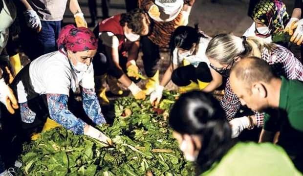 Tüm Türkiye'ye yayılacak! Ücretsiz dağıtılması planlanıyor