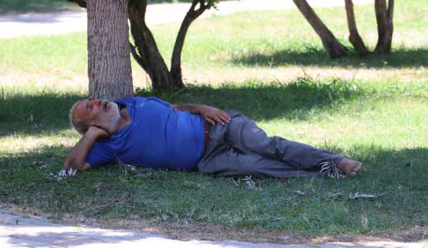 Sıcaktan bunalan adam gölgede uyuyunca ortalık karıştı