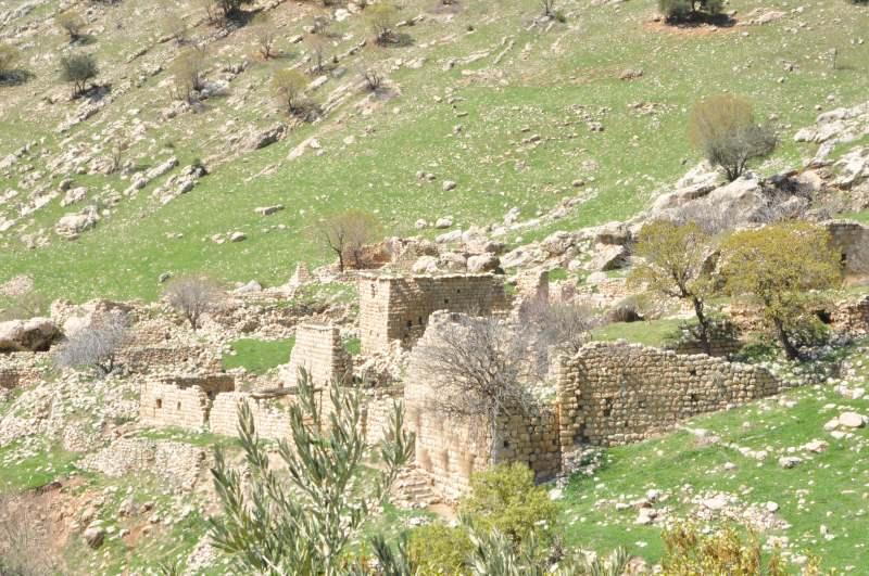SgRdN_1628066736_2539 Gabar Dağında bin 700 yıllık manastır keşfedildi