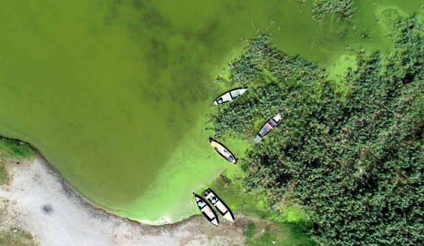 Bursa’da alg patlaması! Göl yemyeşil oldu