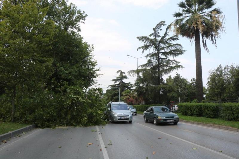 lMz1b 1628342966 3095