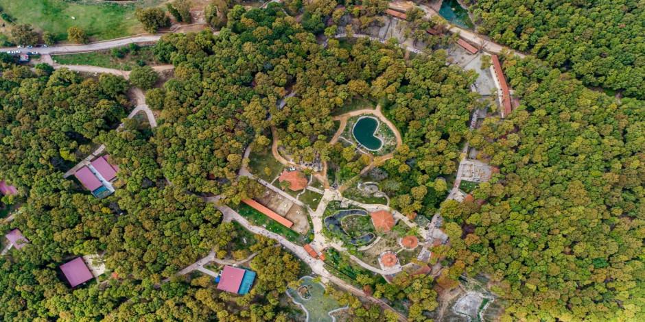 Avrupa’nın en büyük doğal yaşam parkı Ormanya'ya büyük ödül
