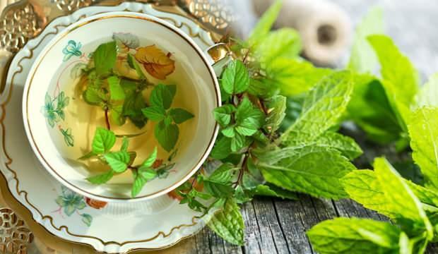 Taze nanenin faydaları nelerdir? Her derde deva nane limon çayı nasıl yapılır?
