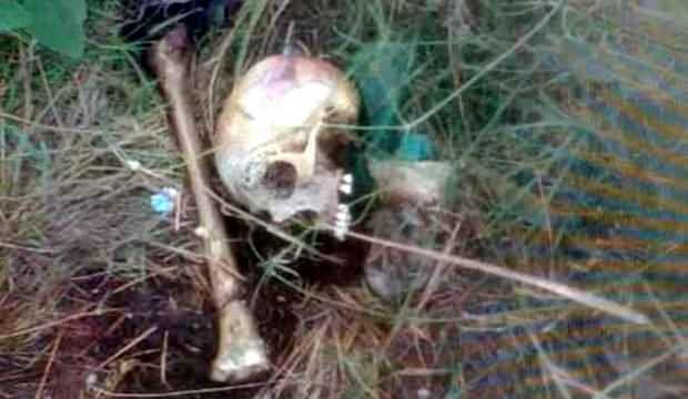 Tekirdağ’da piknik alanında kafatası ve kemik bulundu