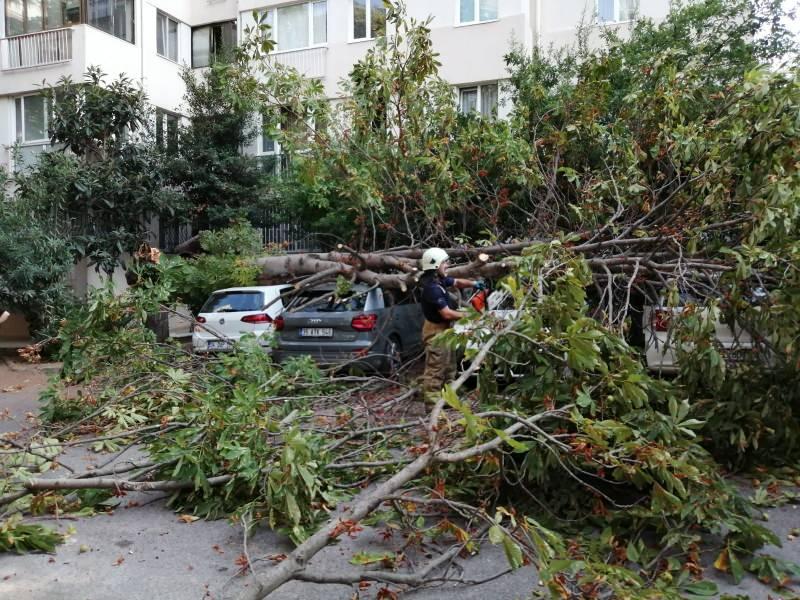 0uIZg 1629961454 1539