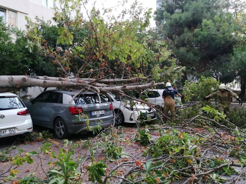 99W49 1629961441 1505