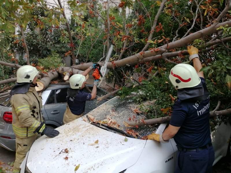 CNFGq 1629961422 8416